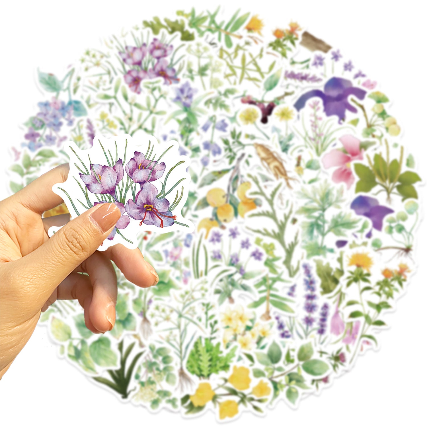 Wholesale 50pcs/pack  Medicine Plant Graffiti Stickers Decorative Guitar Notebook Luggage DIY Waterproof Cross-border